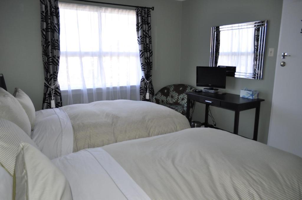 16 Havelock Bed & Breakfast New Plymouth Oda fotoğraf