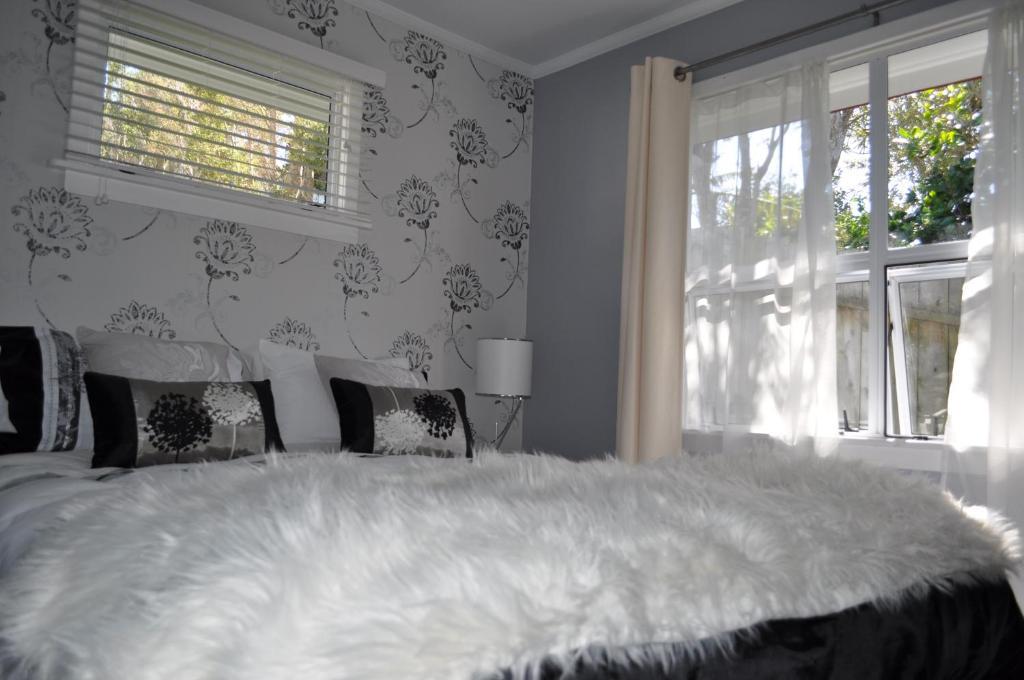 16 Havelock Bed & Breakfast New Plymouth Oda fotoğraf