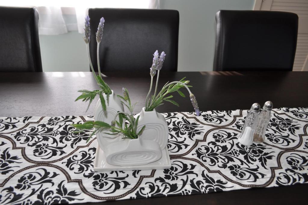 16 Havelock Bed & Breakfast New Plymouth Dış mekan fotoğraf