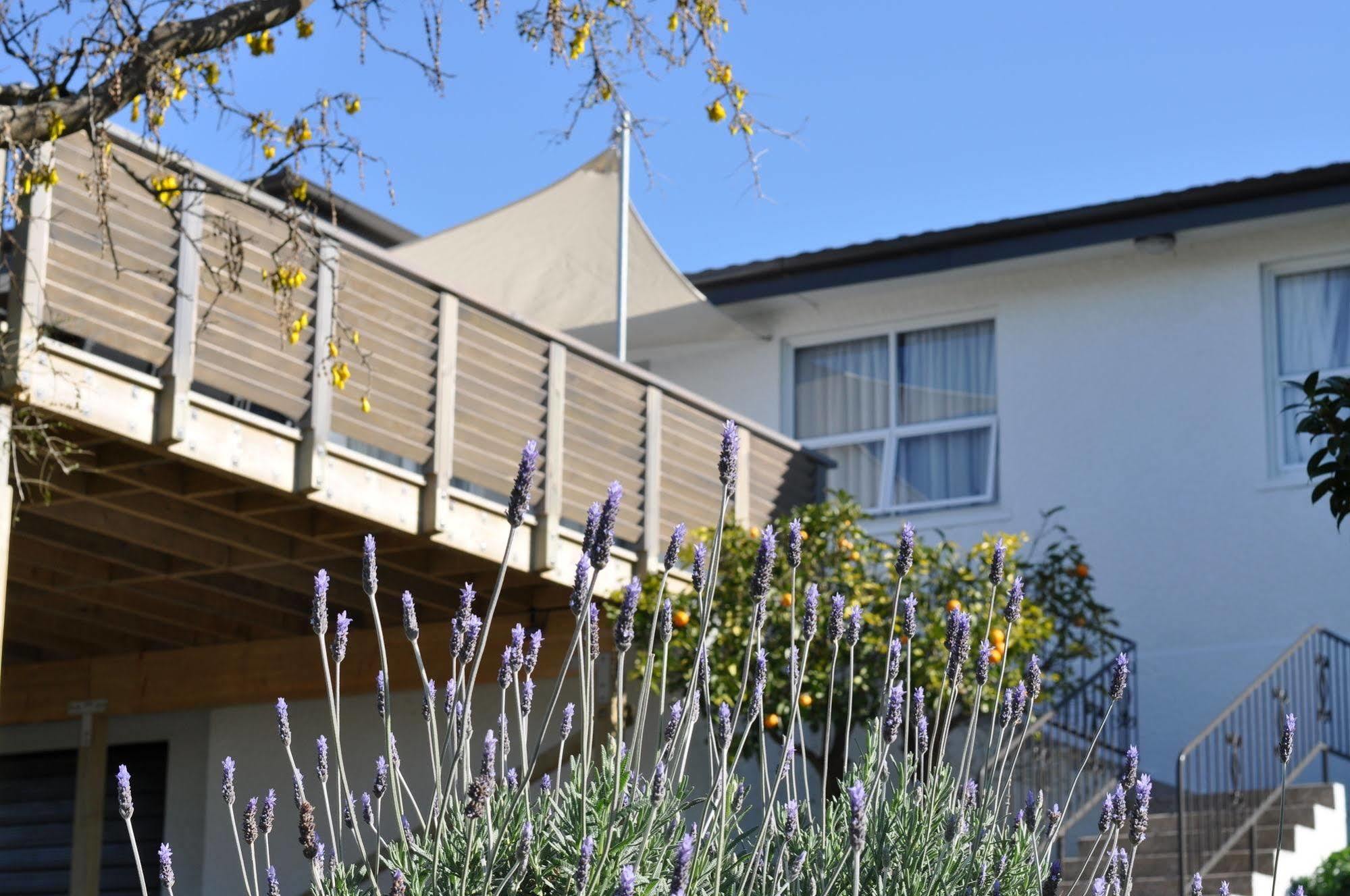 16 Havelock Bed & Breakfast New Plymouth Dış mekan fotoğraf